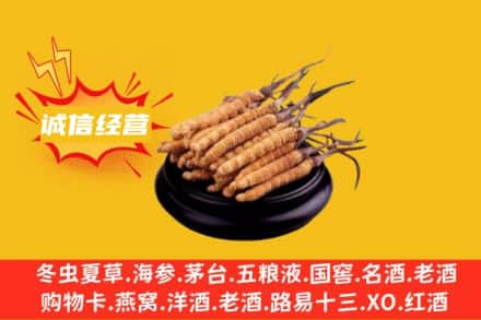 连云港回收冬虫夏草
